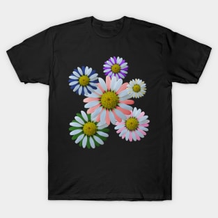 daisy bloom, blooming flower, flowery, daisies, petals T-Shirt